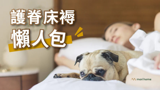 護脊床褥懶人包