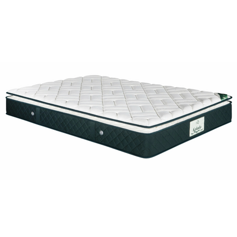 <tc>Emmas - Kakadu 3D</tc> <tc>Emmas - Kakadu 3D</tc>