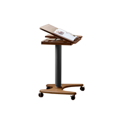 Lenta lift desk