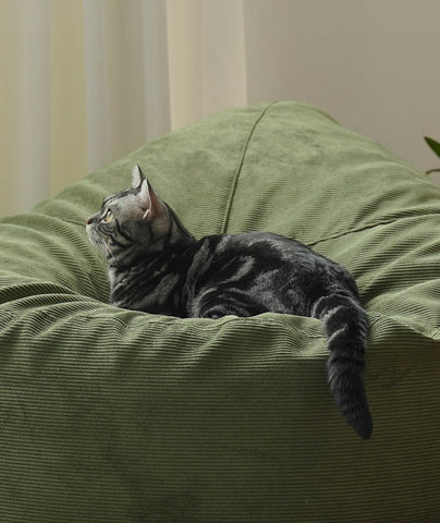 Mori Home - MADO 懶人梳化 Mori Home - MADO 懶人梳化