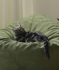 Mori Home - MADO 懶人梳化