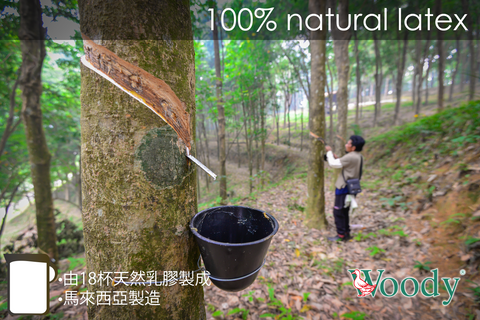 Mori Home - Woody - 馬來西亞 100% 全天然乳膠枕 傳統型 Mori Home - Woody - 馬來西亞 100% 全天然乳膠枕 傳統型