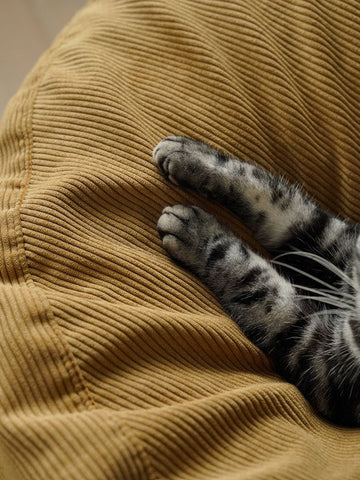 Mori Home - MADO 懶人梳化