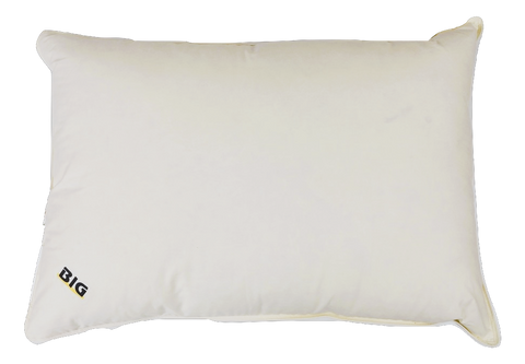 Mori Home - BIG 35%白鵝羽絨枕